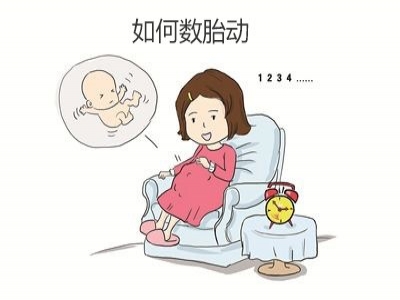 胎兒好不好，胎動(dòng)全知道，數(shù)胎動(dòng)的重要性